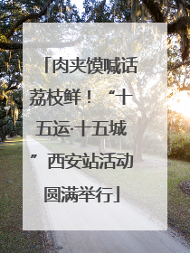 肉夹馍喊话荔枝鲜！“十五运·十五城”西安站活动圆满举行