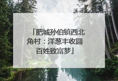 肥城孙伯镇西北角村：洋葱丰收圆百姓致富梦