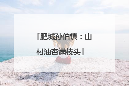 肥城孙伯镇：山村油杏满枝头