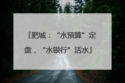 肥城：“水预算”定盘，“水银行”活水