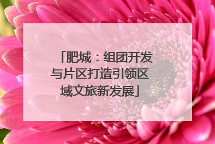 肥城：组团开发与片区打造引领区域文旅新发展