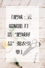 肥城：云端赋能 打造“肥城好品”强农引擎