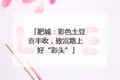 肥城：彩色土豆喜丰收，致富路上好“彩头”
