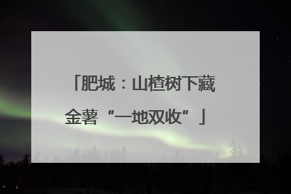 肥城：山楂树下藏金薯“一地双收”