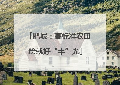 肥城：高标准农田绘就好“丰”光