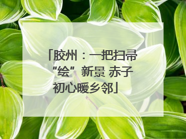 胶州：一把扫帚“绘”新景 赤子初心暖乡邻