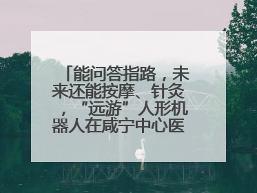能问答指路，未来还能按摩、针灸，“远游”人形机器人在咸宁中心医院上岗