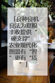 良种良机良法为夏粮丰收提供“硬支撑” 农业现代化图景有“智”更有“质”