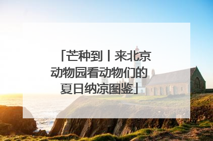 芒种到丨来北京动物园看动物们的夏日纳凉图鉴