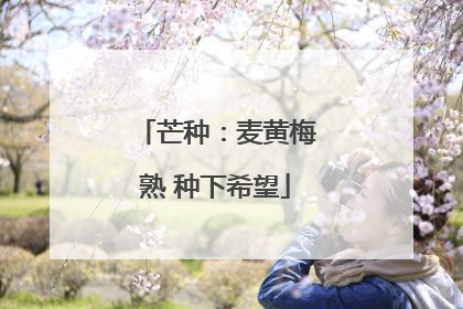 芒种：麦黄梅熟 种下希望