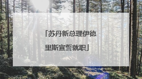 苏丹新总理伊德里斯宣誓就职