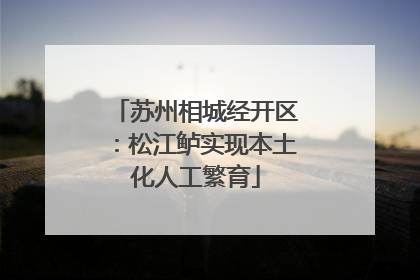 苏州相城经开区：松江鲈实现本土化人工繁育