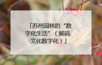 苏州园林的“数字化生活”（解码·文化数字化）