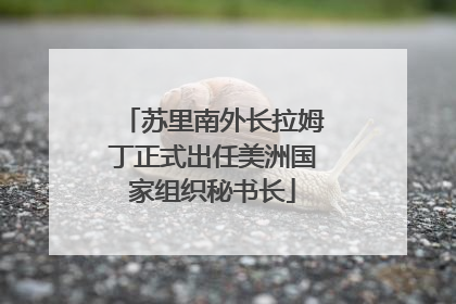 苏里南外长拉姆丁正式出任美洲国家组织秘书长