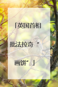 英国首相批法拉奇“画饼”