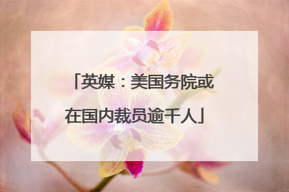 英媒：美国务院或在国内裁员逾千人