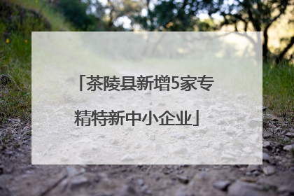 茶陵县新增5家专精特新中小企业