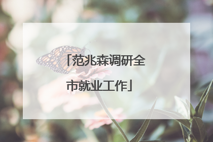 范兆森调研全市就业工作