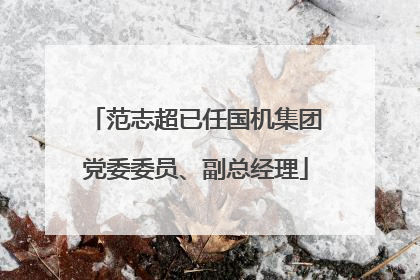 范志超已任国机集团党委委员、副总经理