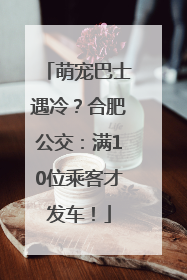萌宠巴士遇冷？合肥公交：满10位乘客才发车！
