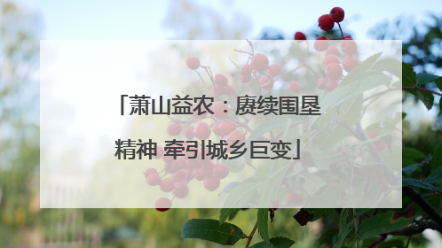 萧山益农：赓续围垦精神 牵引城乡巨变
