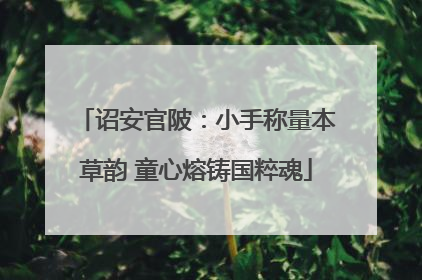 诏安官陂：小手称量本草韵 童心熔铸国粹魂