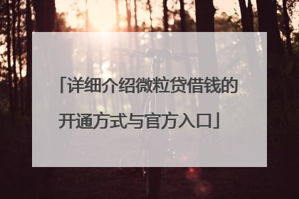 详细介绍微粒贷借钱的开通方式与官方入口