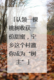 认领一棵桃树收获一份甜蜜，宁乡这个村邀你成为“树主”