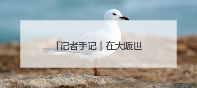 记者手记｜在大阪世博会感受多彩中国
