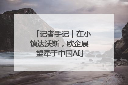 记者手记｜在小镇达沃斯，欧企展望牵手中国AI