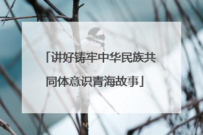 讲好铸牢中华民族共同体意识青海故事
