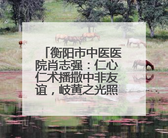 衡阳市中医医院肖志强：仁心仁术播撒中非友谊，岐黄之光照亮津巴大地