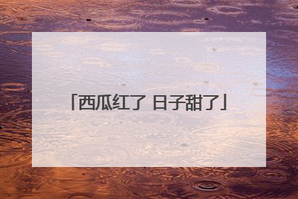 西瓜红了 日子甜了