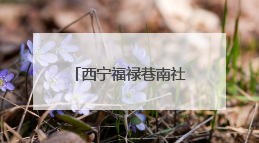 西宁福禄巷南社区：粽香传廉韵 党心映端阳