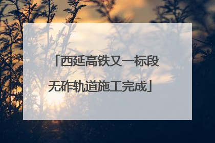 西延高铁又一标段无砟轨道施工完成