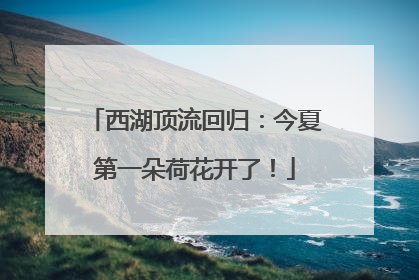 西湖顶流回归：今夏第一朵荷花开了！