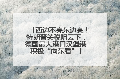 西边不亮东边亮！特朗普关税阴云下，德国最大港口汉堡港积极“向东看”