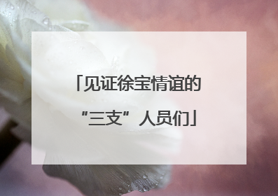 见证徐宝情谊的“三支”人员们