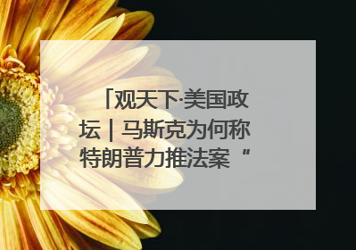 观天下·美国政坛｜马斯克为何称特朗普力推法案“令人作呕”