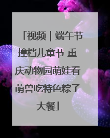 视频｜端午节撞档儿童节 重庆动物园萌娃看萌兽吃特色粽子大餐
