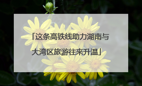 这条高铁线助力湖南与大湾区旅游往来升温