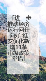 进一步推动经济运行回升向好 雅安优化新增11条市级政策举措