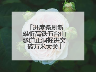 进度条刷新 雄忻高铁五台山隧道正洞掘进突破万米大关