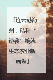 连云港海州：秸秆“逆袭”绘就生态农业新画卷