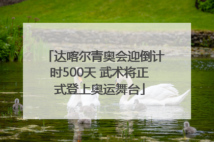 达喀尔青奥会迎倒计时500天 武术将正式登上奥运舞台