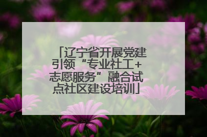 辽宁省开展党建引领“专业社工+志愿服务”融合试点社区建设培训