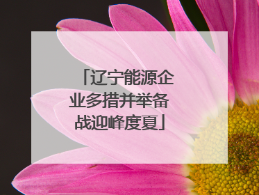 辽宁能源企业多措并举备战迎峰度夏