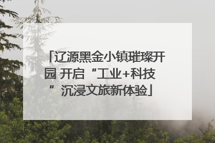 辽源黑金小镇璀璨开园 开启“工业+科技”沉浸文旅新体验