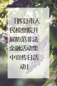 辉县市人民检察院开展防范非法金融活动集中宣传日活动