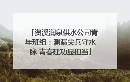 资溪润泉供水公司青年班组：测漏尖兵守水脉 青春建功显担当